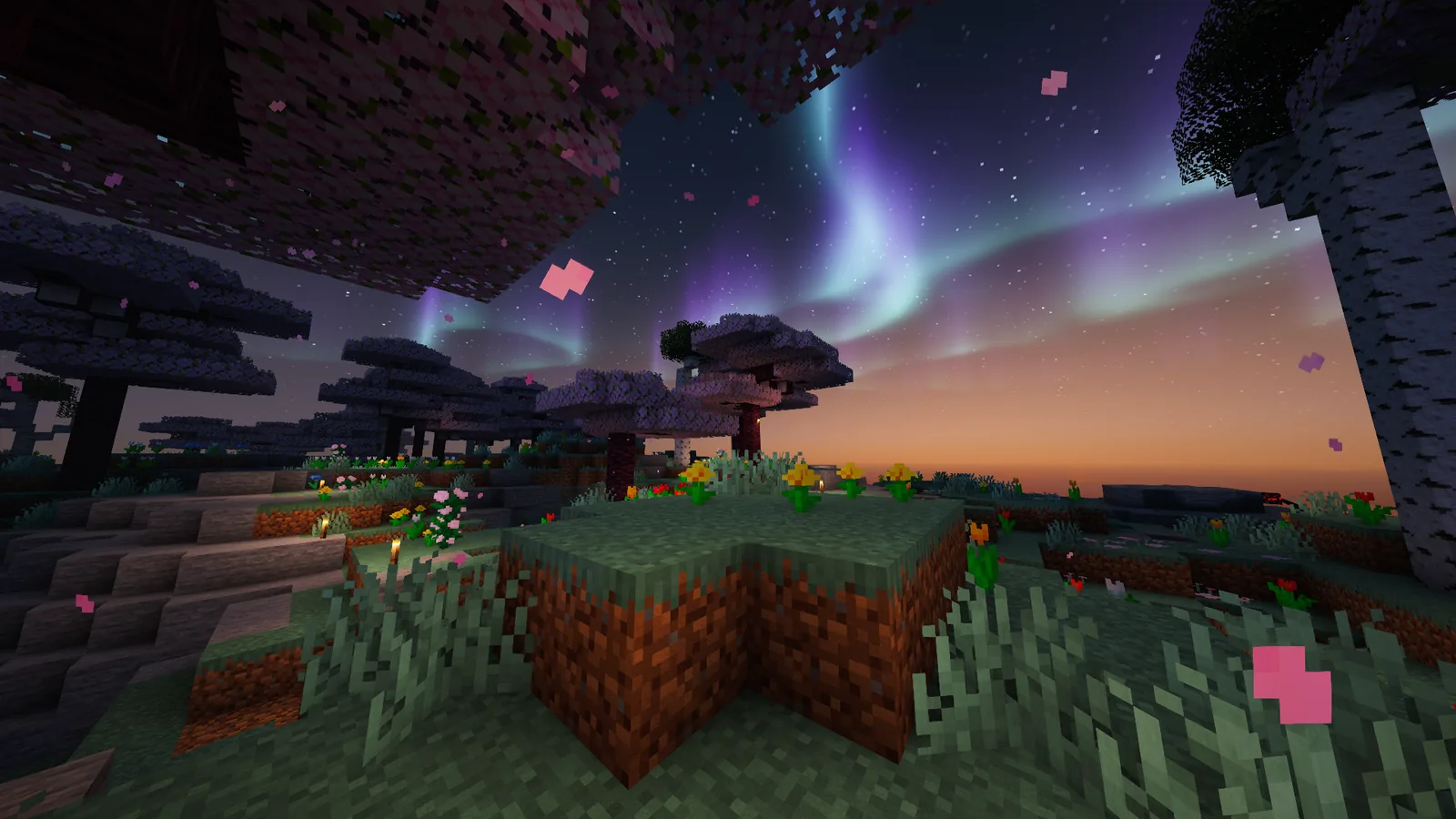 Nocturnal landscape with aurora inside DrakesCraft